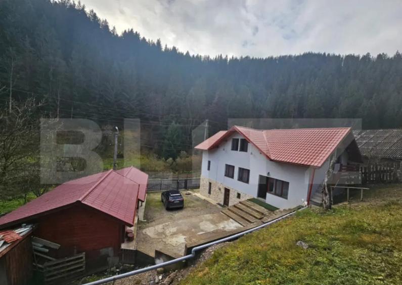 Lini?te, Natura ?i Spa?iu Casa Ideala cu 6 camere, - 18