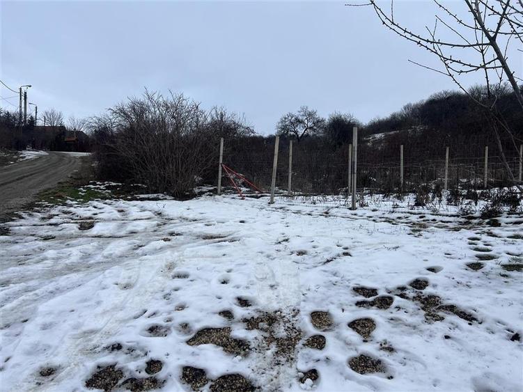 RECO teren intravilan Oradea - 6