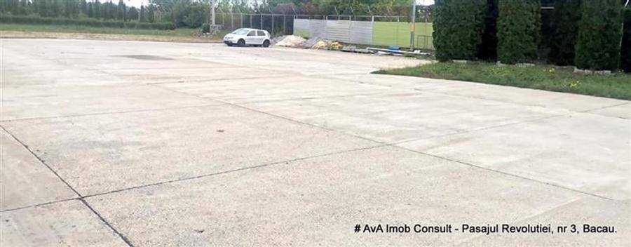 Zona Izvoare, spatii industriale (Hale ) - 2