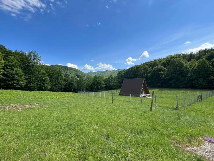 Teren Galaoaia - de vanzare - 3