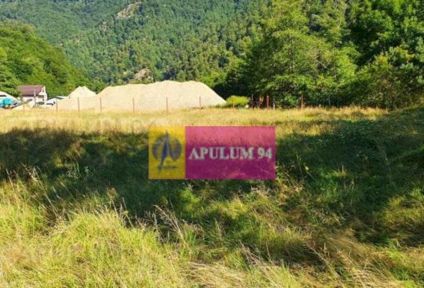 Teren Jude?ul Valcea - Brezoi, Valea lui Stan - 8