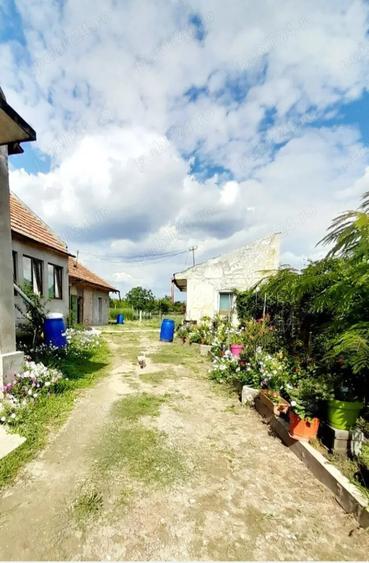 Casa de vanzare in Zadareni - 2