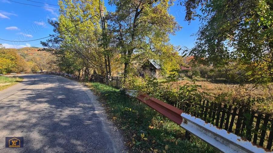 Teren de vanzare in comuna Valea Danului, sat Verne?ti, Jude? Arge?. - 5