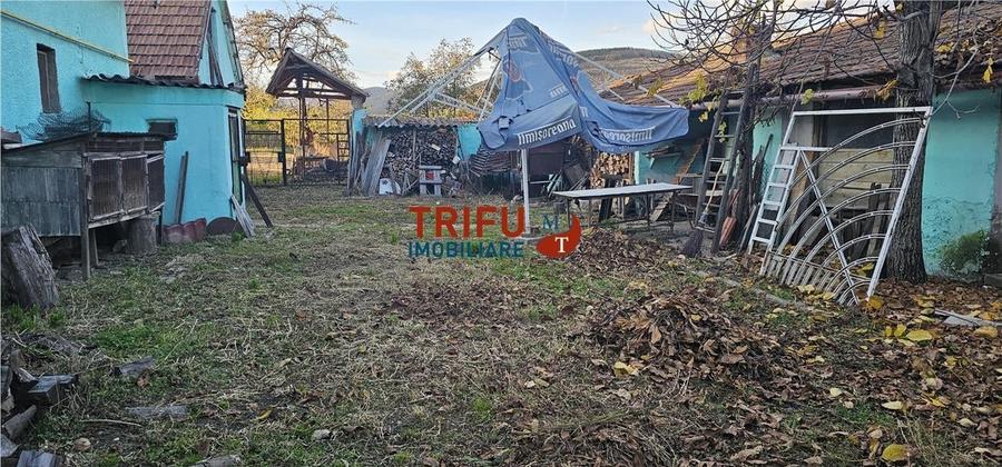 OFERTĂ!!! Casă în Cricău cu 1776mp teren, 1 ha teren arabil - 18