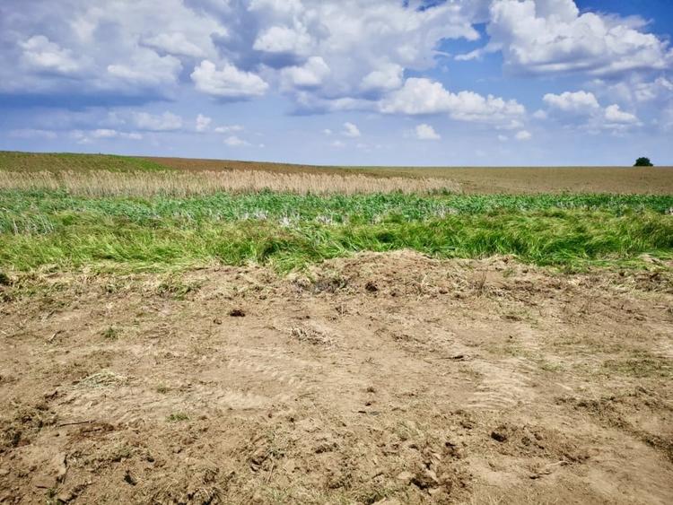 Teren in Butimanu cu Deschidere la Lac-Jud. Dambovita - 2