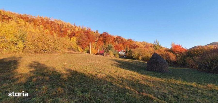 Vand teren intravilan la Muntele Rece - 7