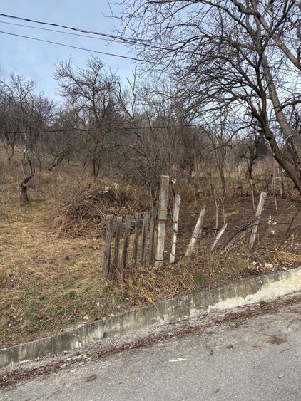 Teren de vanzare Fieni Dambovita - 4