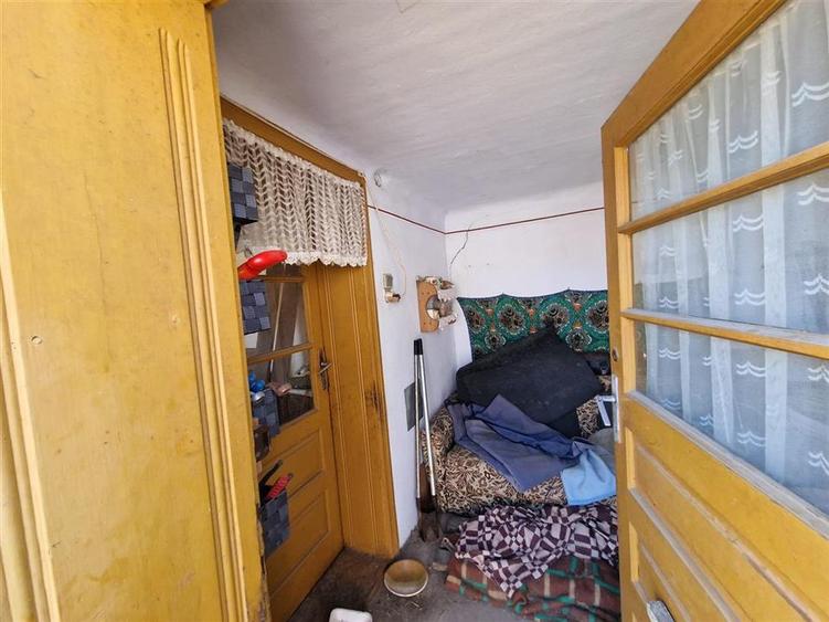 RECO Teren mare cu 2 case in Sabolciu, com. Sacadat - 11