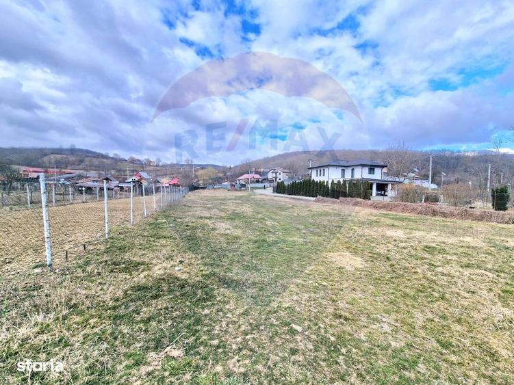 Teren Intravilan generos la intrare in Luncani - 3