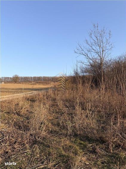 DE VANZARE TEREN EXTRAVILAN - 10