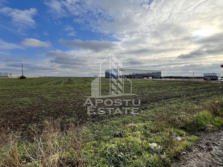 Teren de vanzare 30.400 mp, langa Continental si Hamilton. - 1