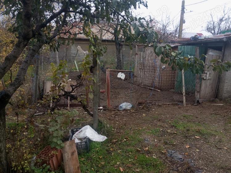 Casa batraneasca, 1000 mp, la 14 km de oras - 4