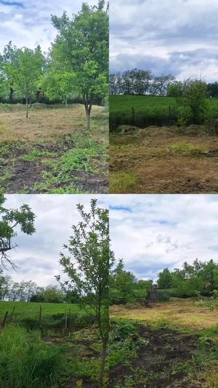 Casa de vanzare cu gradina Iclandu Mare - 1