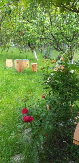 Vila case de vanzare in comarnic - 16