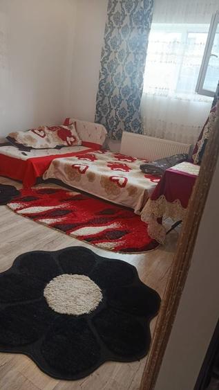 Apartament in Dobroiesti - 4