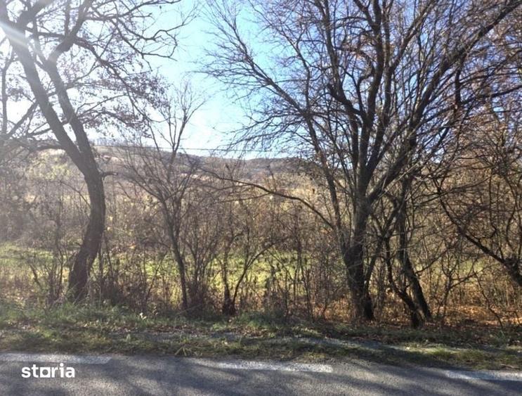 Teren de 5281 mp, în Recea-Cristur