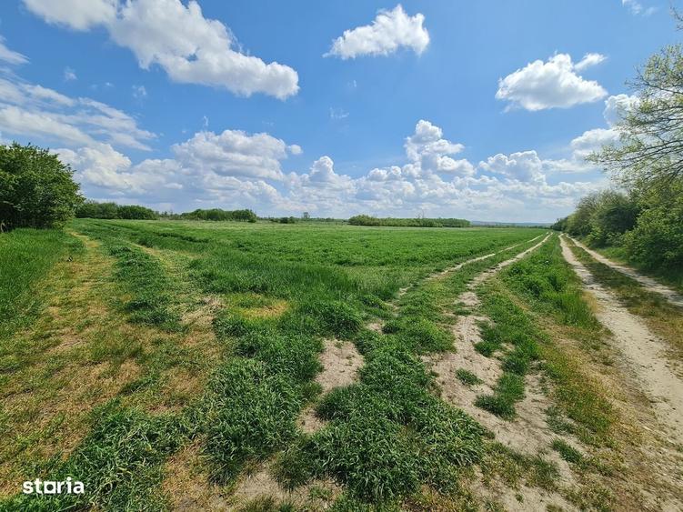 Vand Teren Agricol 200 Hectare in Judetul Arad - 1