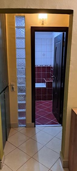Apartament de inchiriat 2 camere Nufarul - 16