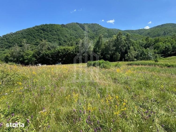 Teren de 4600 mp, în Central