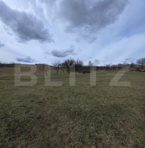 Teren Construcții intravilan de 2800 mp, în Exterior Sud