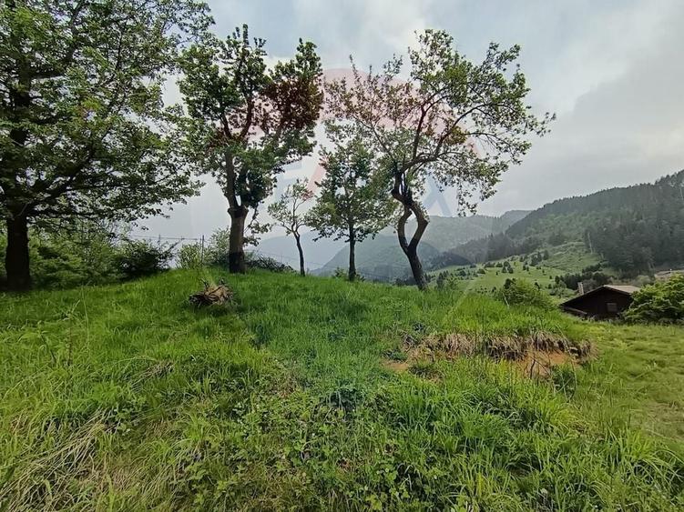 Teren Construcții intravilan de 850 mp, în Turcheș