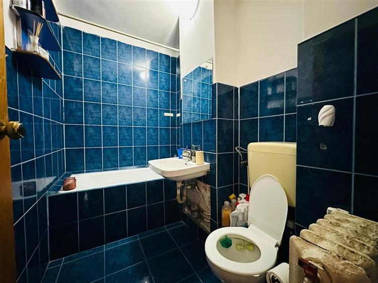 Garsonieră decomandată în Nufărul
