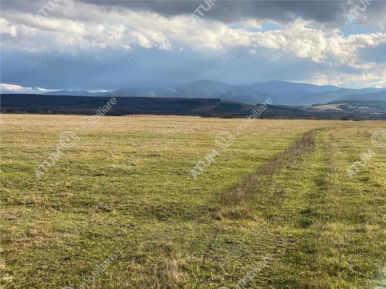 Teren de vanzare 564 mp in Sibiu pretabil investitie - 9