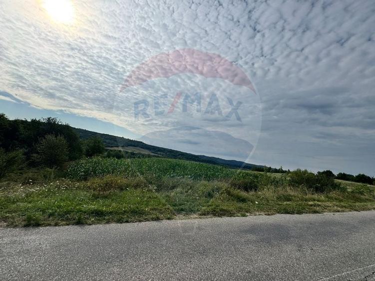 Teren spectaculos de vanzare in Draghici - 3