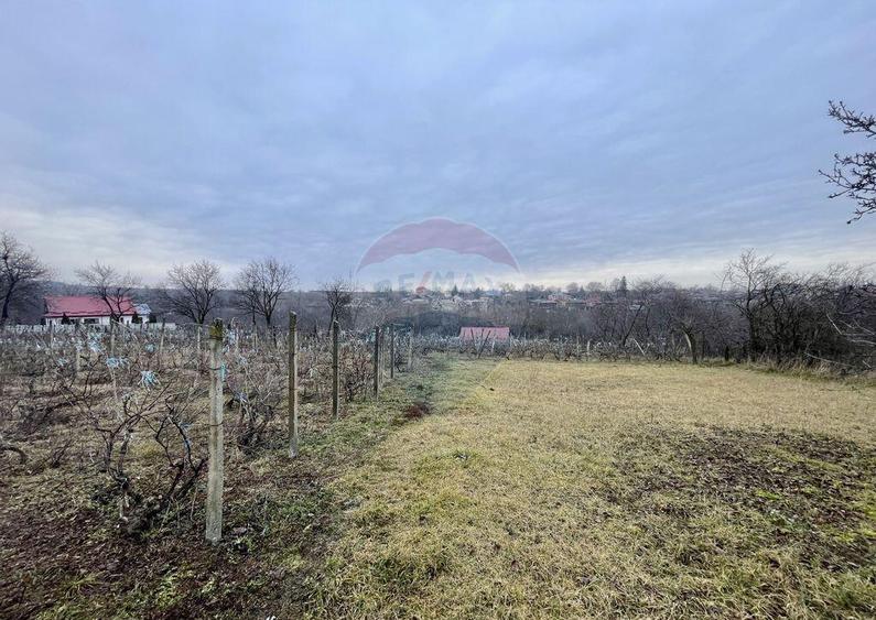 Casa cu teren Neicu/Panciu - 9