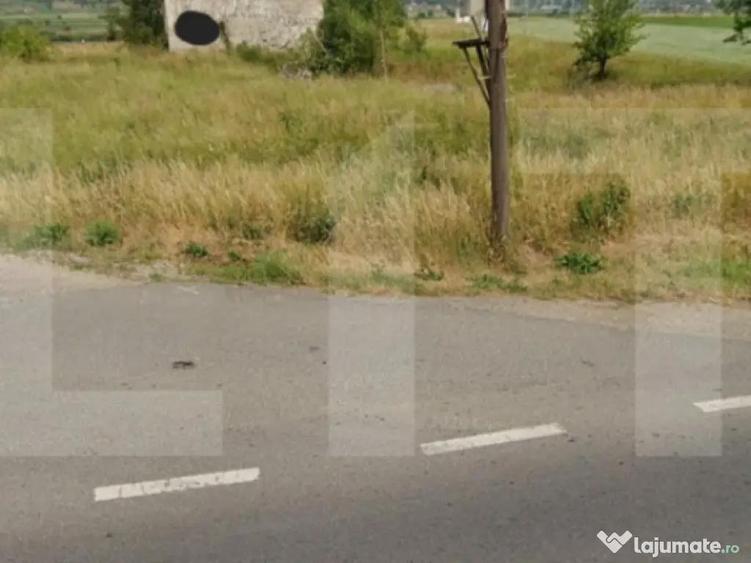 Teren intravilan 5.600 mp cu deschidere la DN12 Chilieni - 1