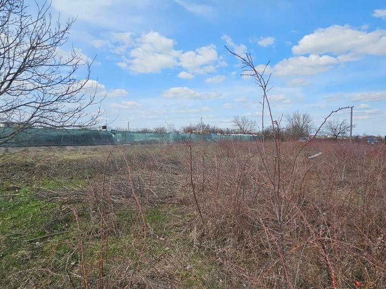 Terenuri de închiriat cu deschidere la DJ 100 – suprafețe generoase, acces TIR. - 9