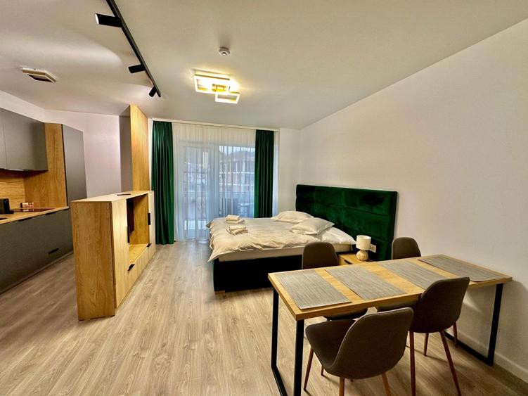 Green Future Sinaia//Studio cu priveliste catre Muntii Baiului - 4