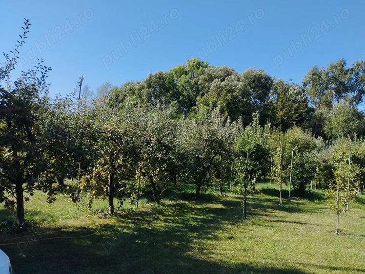 Breaza, teren 1705 mp sau lotizat, zona insorita - 2