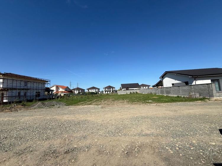 Teren de vanzare Mosnita Noua - 5