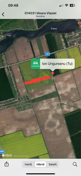 Teren Caciulati Moara Vlasiei 4900 mp 4 mp - 7