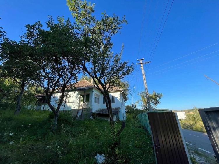 Casa cu Teren Extins Liniste, Natura si Spatiu Generos - 1