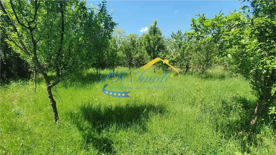 Teren intravilan de vanzare, Banesti Prahova - 3