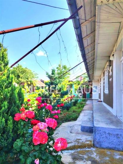 Casa la tara si teren intravilan, in sat Carja, jud Vaslui - 4