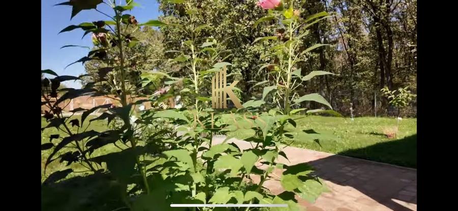 Casa moderna, 3 camere, 2023  Moara Vlasiei, in mijlocul naturii - 9