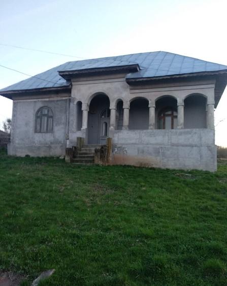 Oaza de liniste in Turceni - la casa - 1