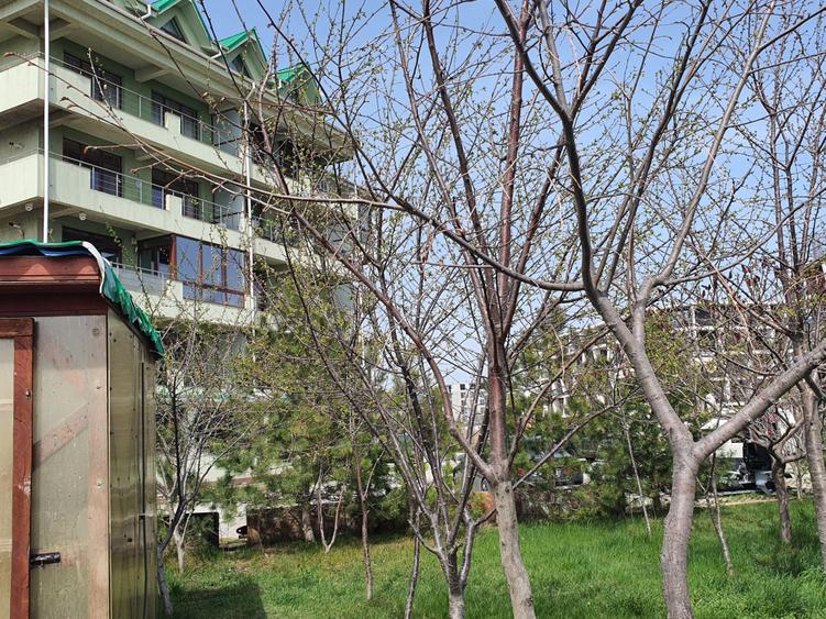 Mamaia Sat-malul lacului, apartament 2 camere,70mp, mobilat,utilat, parcare - 40