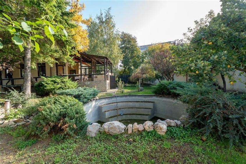 Conac de lux in Zona Piata Chirila - 4