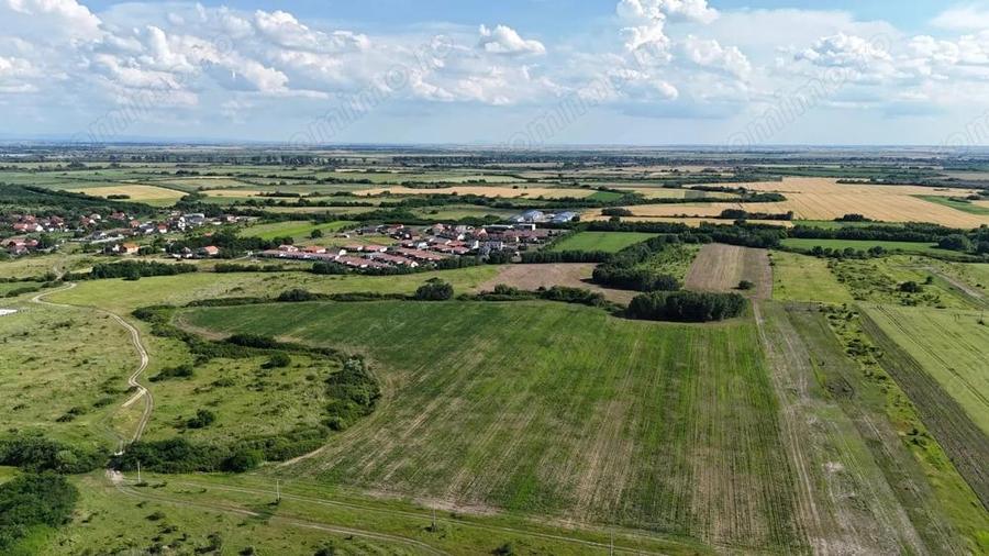 Terenuri zona MOSNITA NOUA - ALBINA . - 20