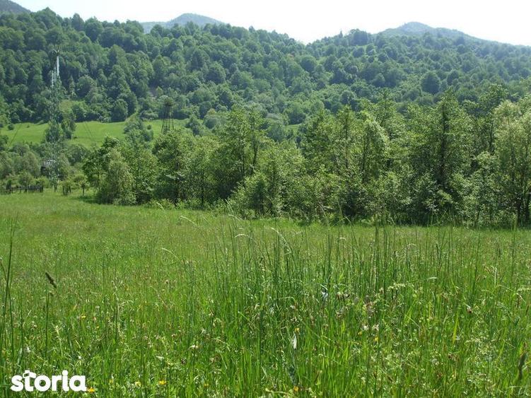 Vand teren intravilan 1632 mp in Poiana Sarata-Oituz - 2