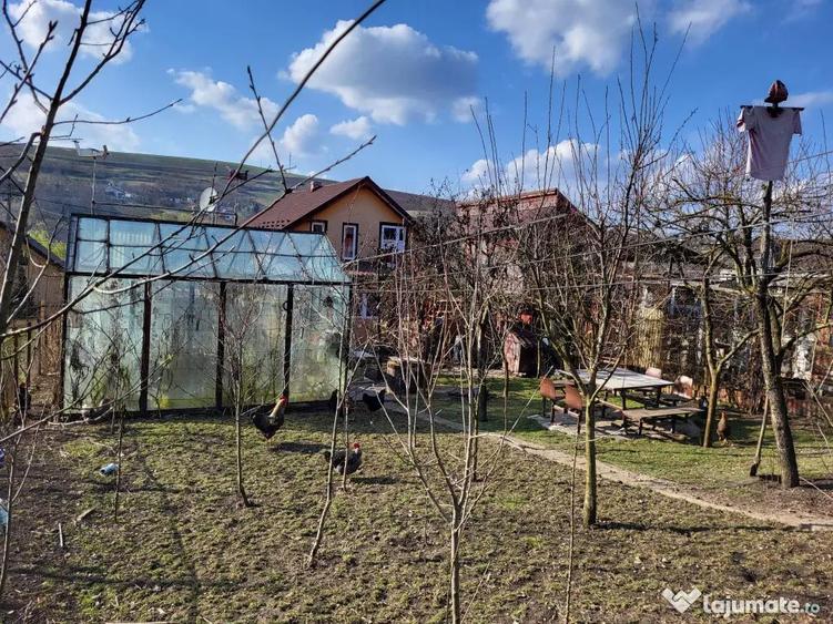 Casa de vanzare Zau de Campina - 7