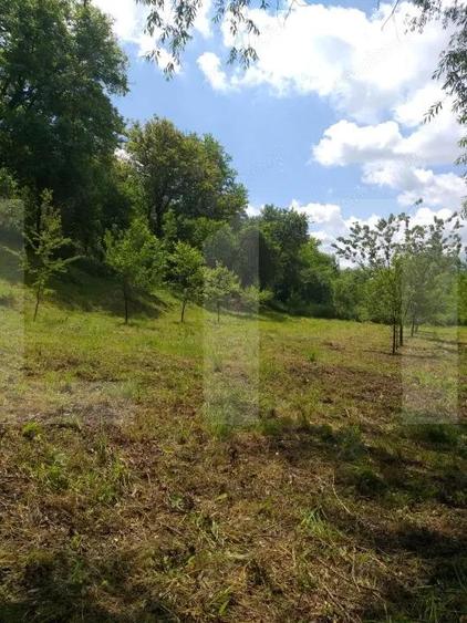 Exclusivist! Teren intravilan de 2800mp cu cascada in Micesti! - 2