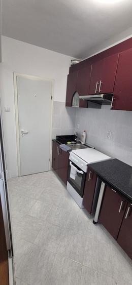 Apartament 1 camera cu loc de parcare de inchiriat-Tudor-Cantemir - 4