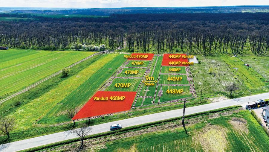 Teren Intravilan langa padure - zona linistita, perfect pentru casa! - 3