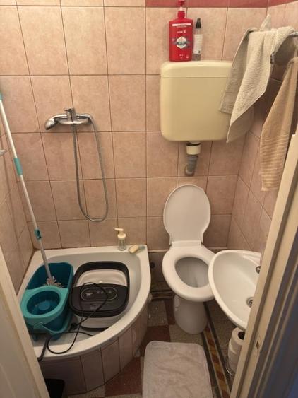 4 Camere | Bd Regina Elisabeta | Parcul Cismigiu | - 12