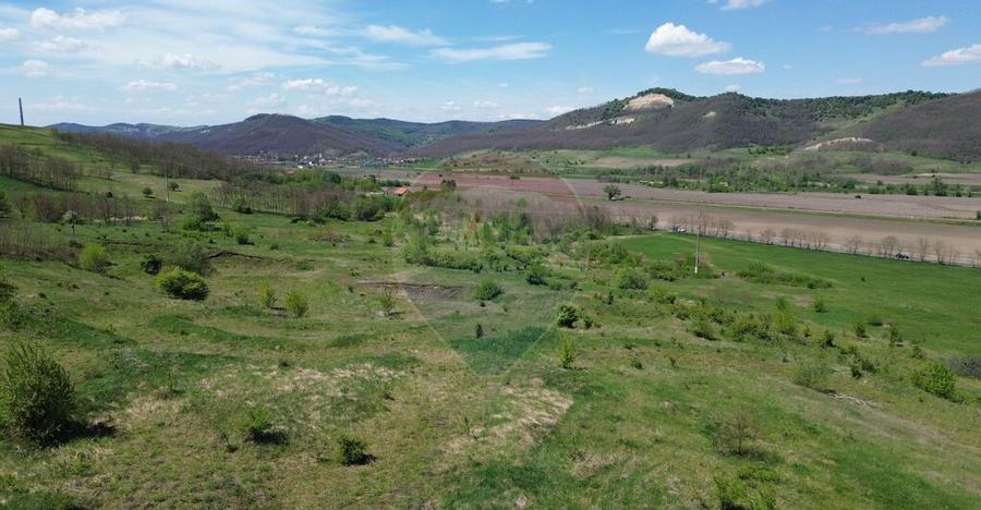 Domeniu - 66 Hectare - Teren deosebit Copsa Mica cu desch... - 12